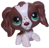 #0156 Cocker Spaniel